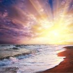 Removing Blocks Oracle Card Reading